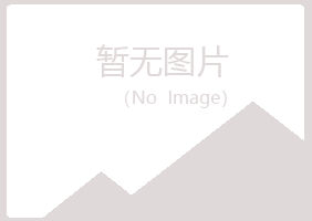 阜新新邱夏彤服务有限公司